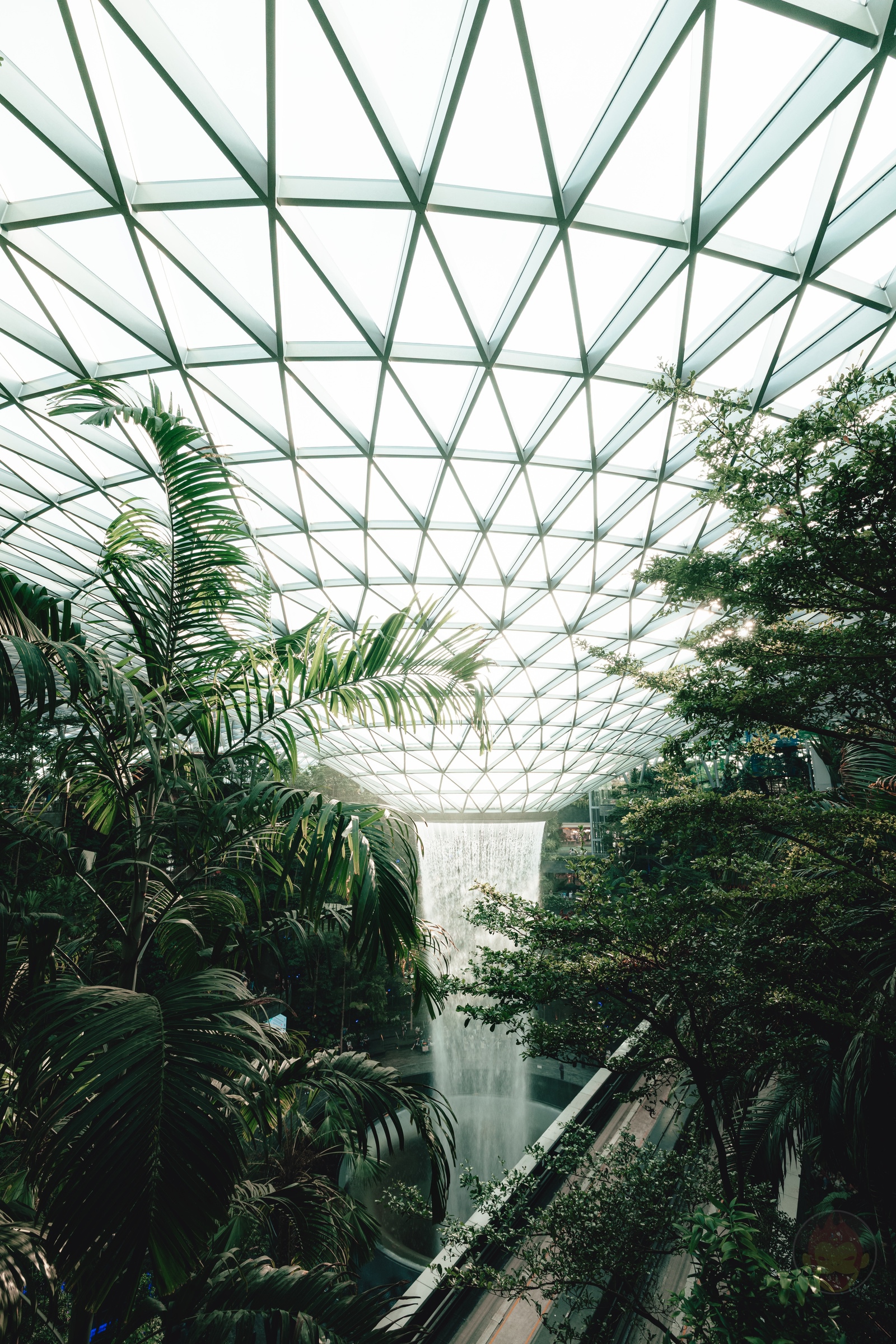 Photos of singapore taken by daddy 11