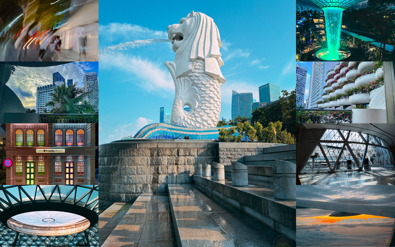 Photos taken by my 6yr old daughter