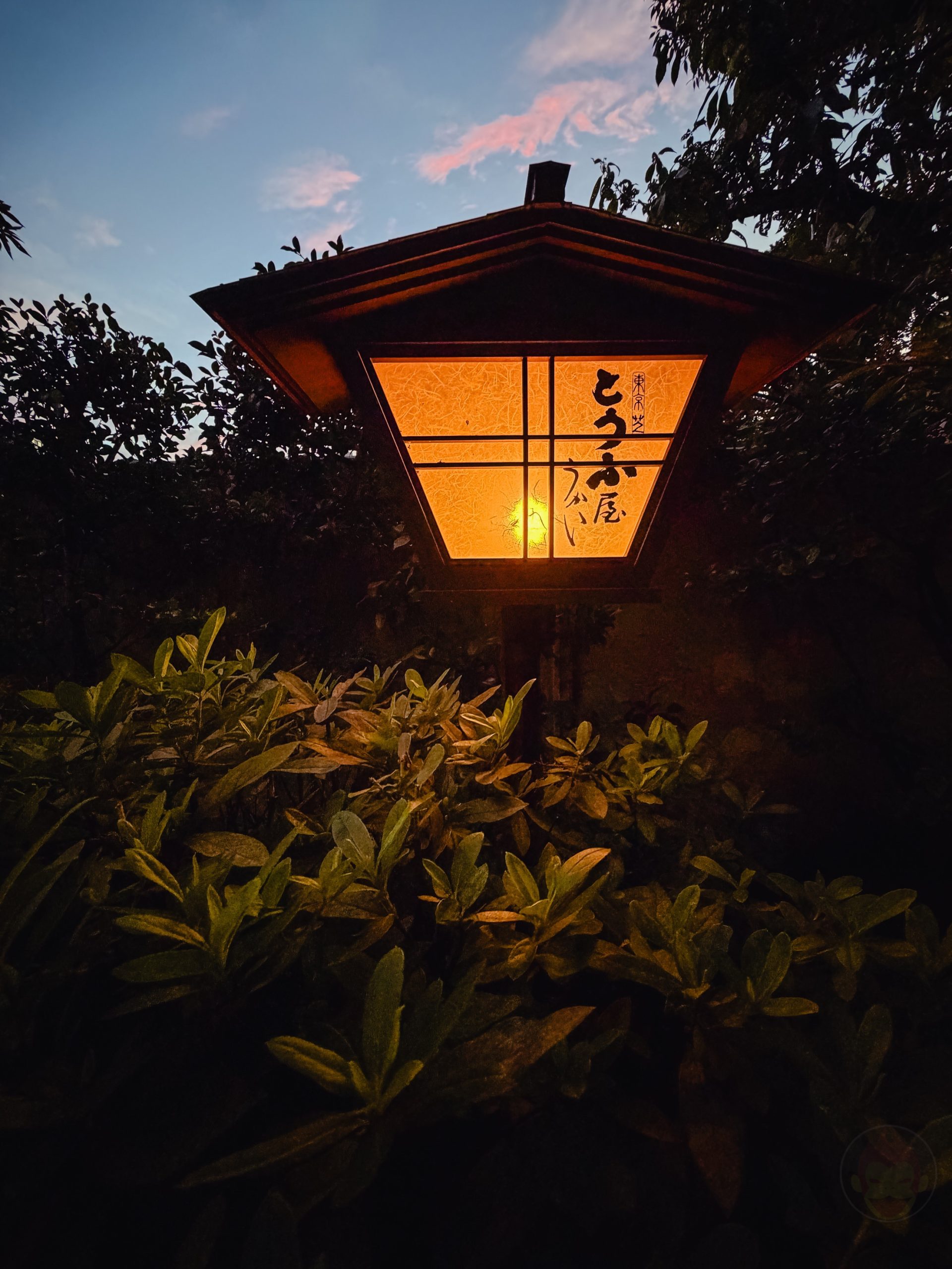 IPhone17 photo samples 29