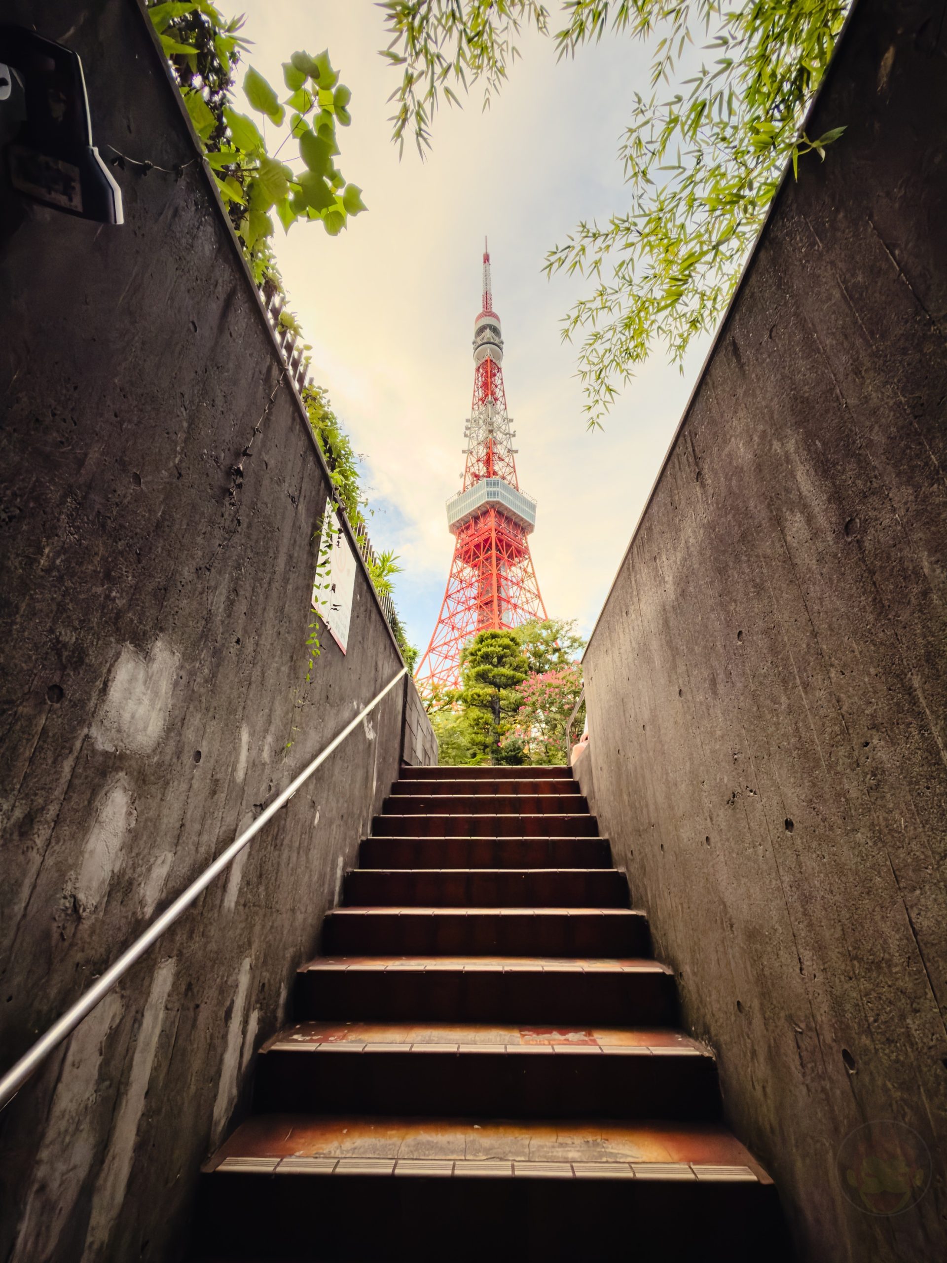 IPhone17Pro photo samples 76