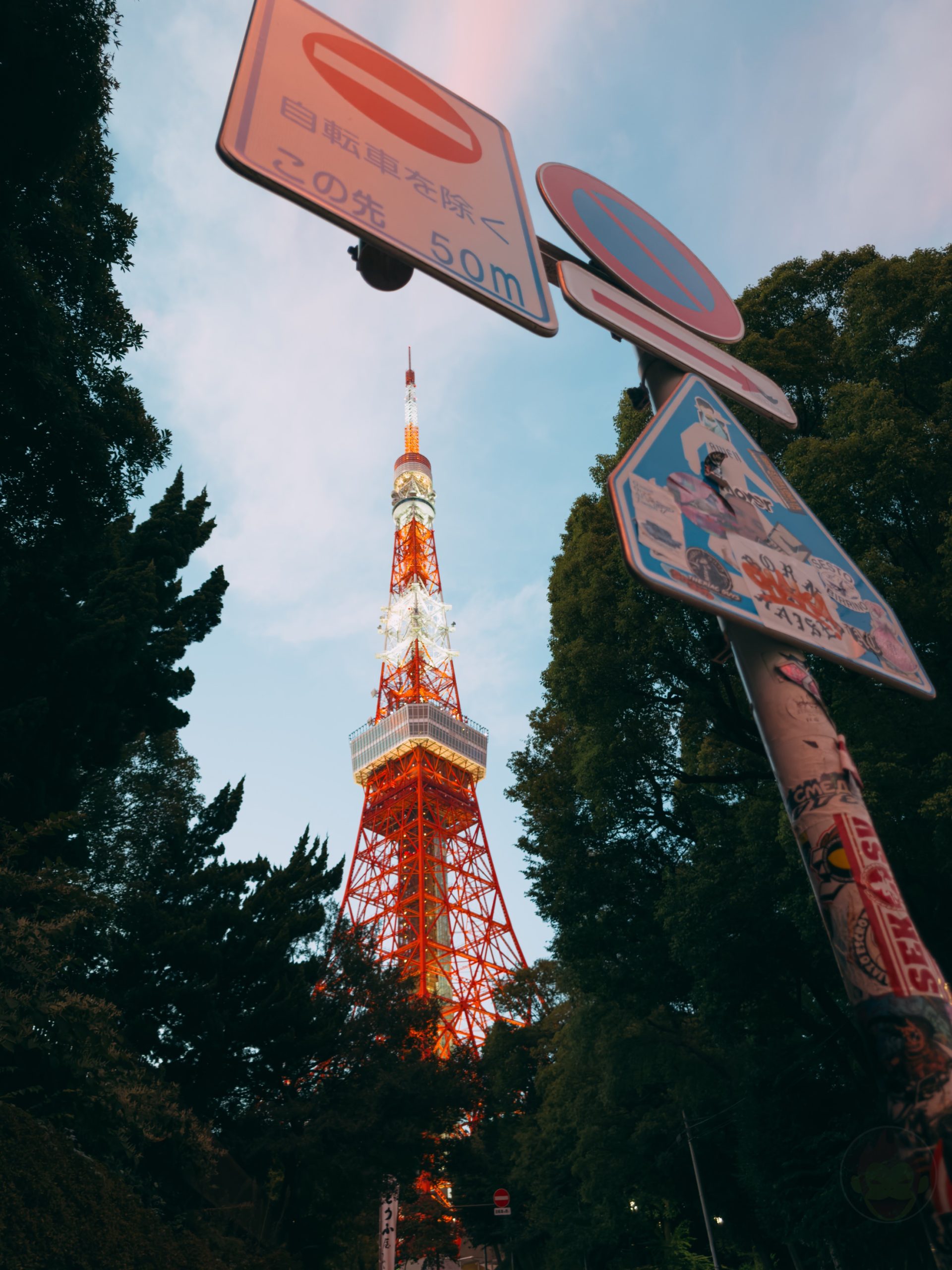 IPhone17Pro photo samples 79