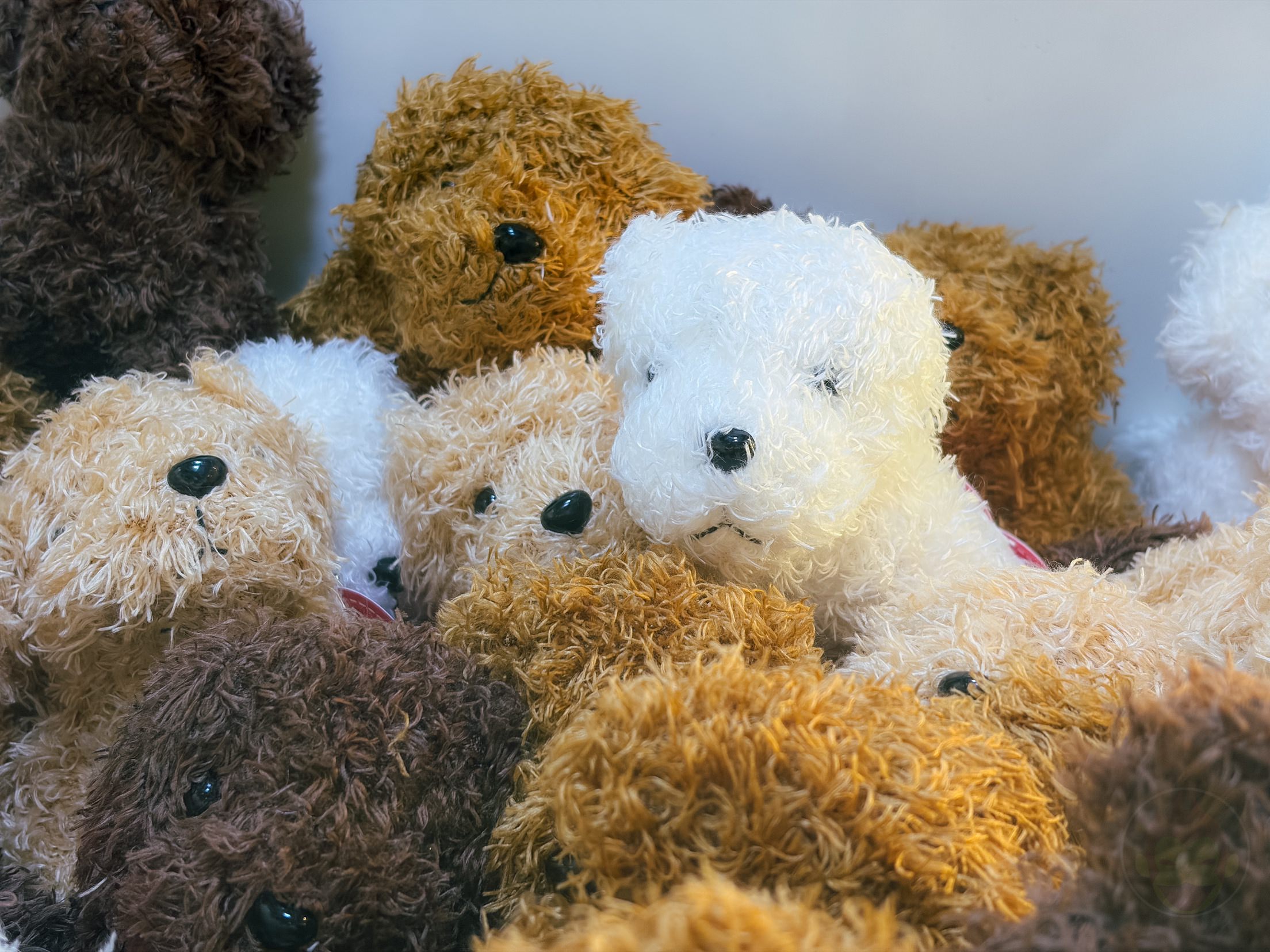 IPhoneAir photo samples 18