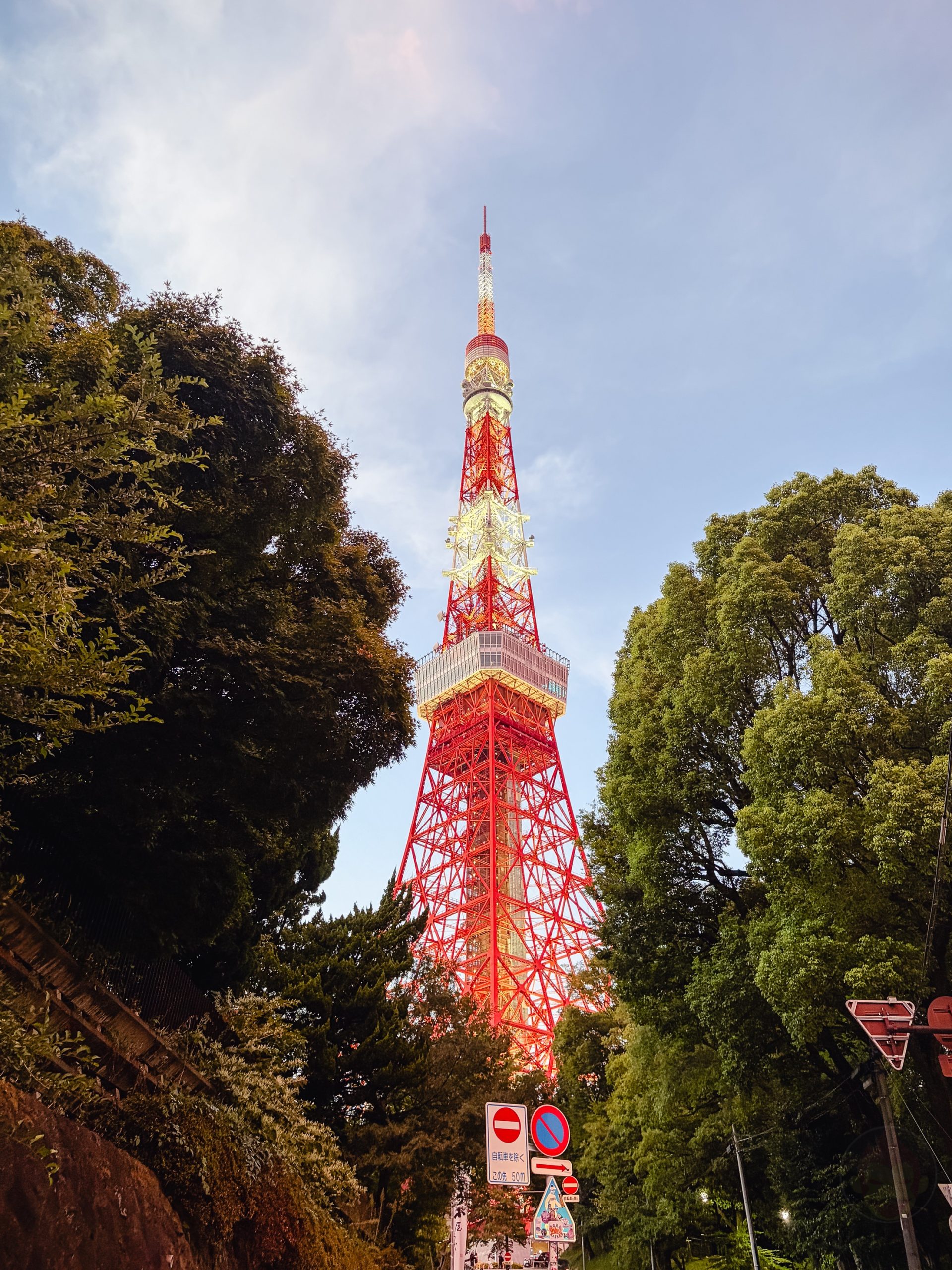 IPhoneAir photo samples 21