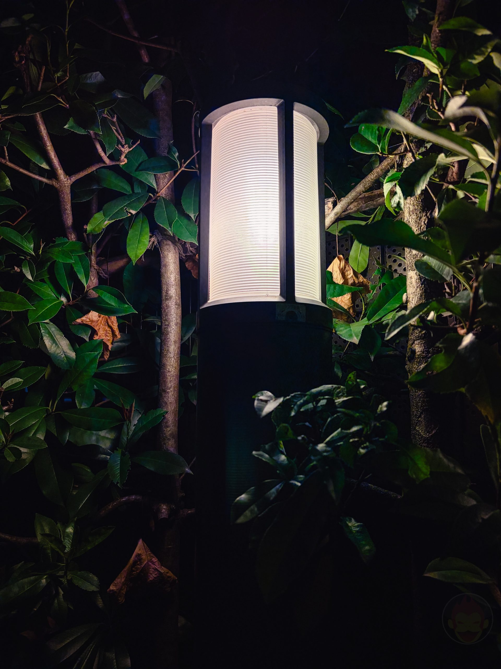 IPhoneAir photo samples 26