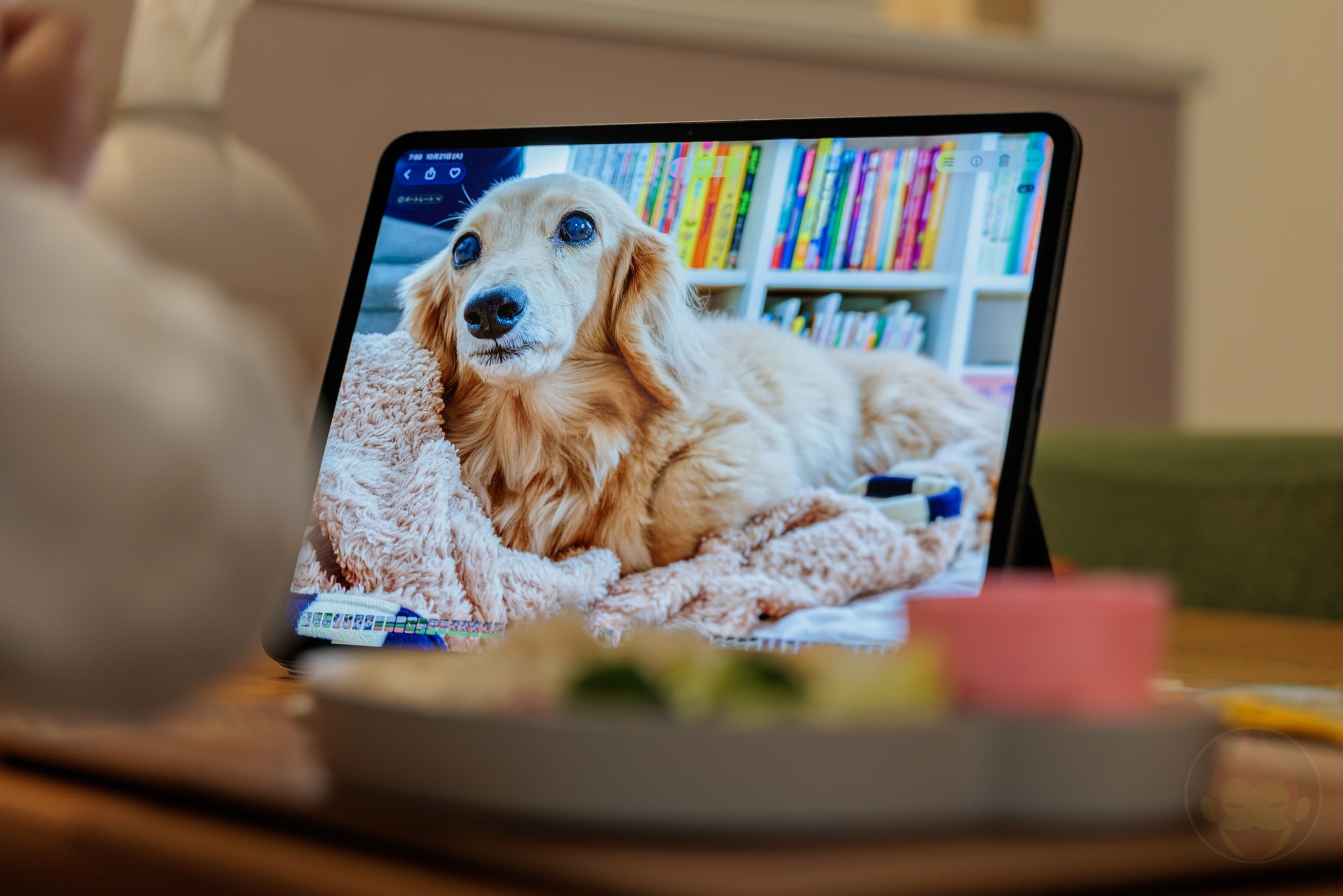 13inch-M5-iPad-Pro-Review-GoriMe-18.jpg 13inch M5 iPad Pro Review GoriMe 18