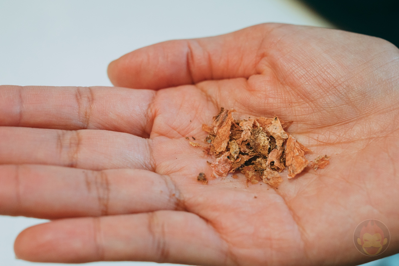 Dreame-SF25-Trash-Compost-Review-13.jpg Dreame SF25 Trash Compost Review 13