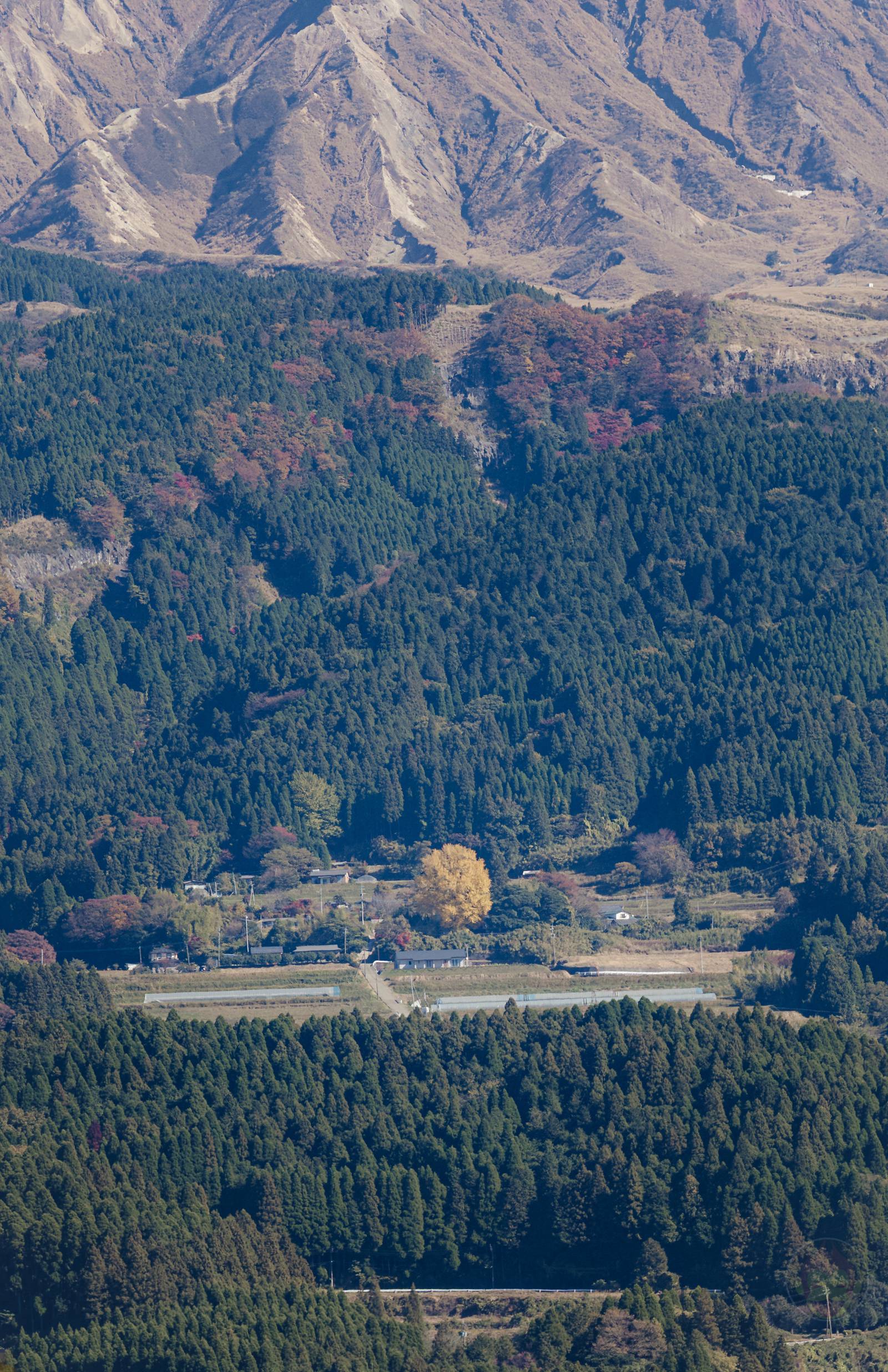 Trip-with-friends-to-Kumamoto-16.jpg Trip with friends to Kumamoto 16