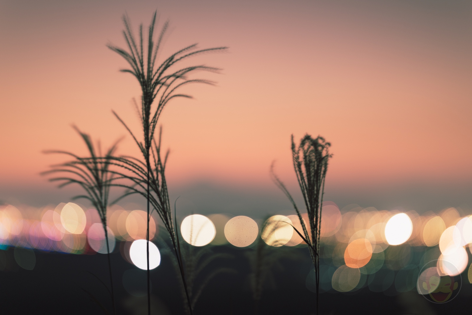 Trip-with-friends-to-Kumamoto-at-dust-and-night-02.jpg Trip with friends to Kumamoto at dust and night 02