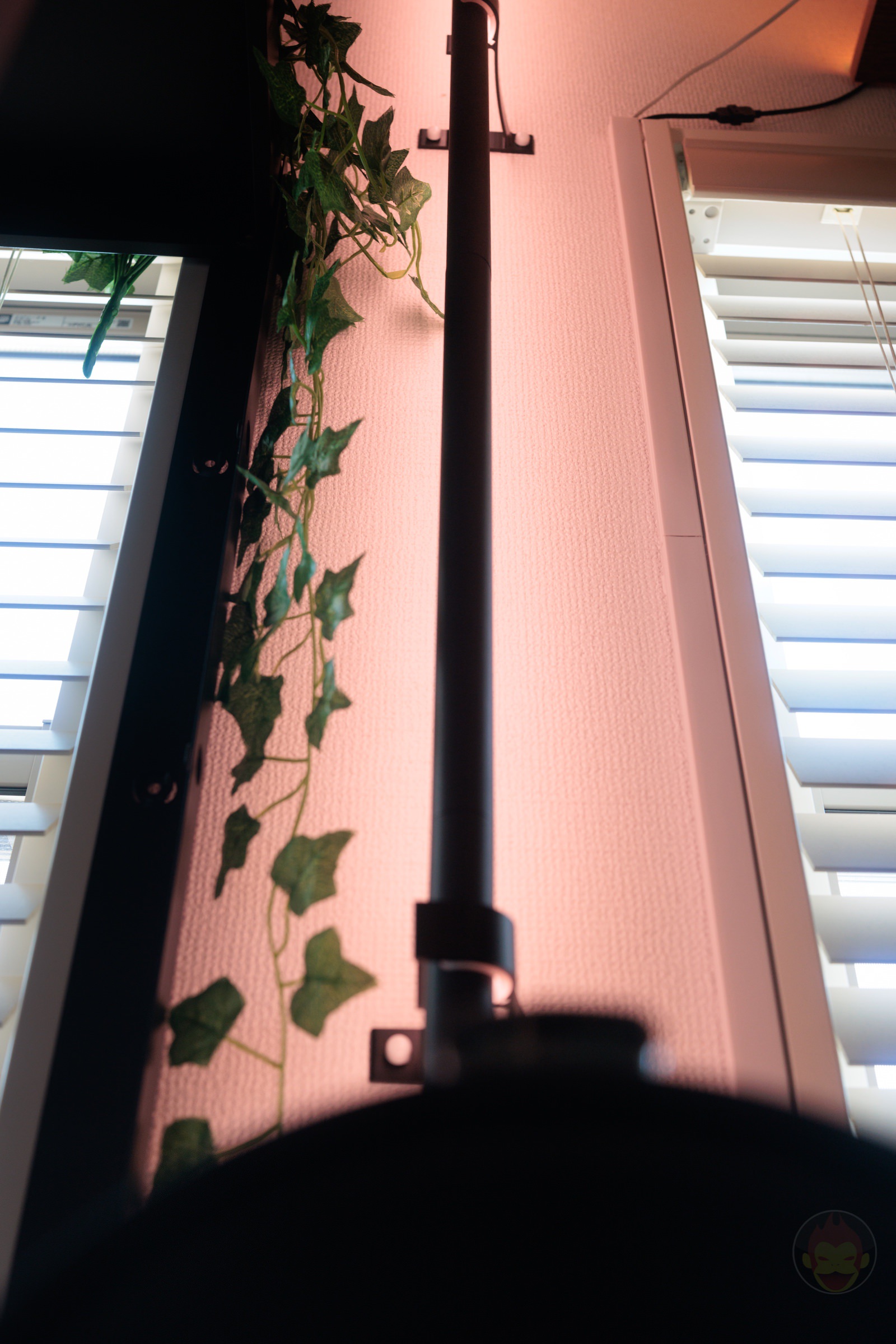 Photodump 20260131 04