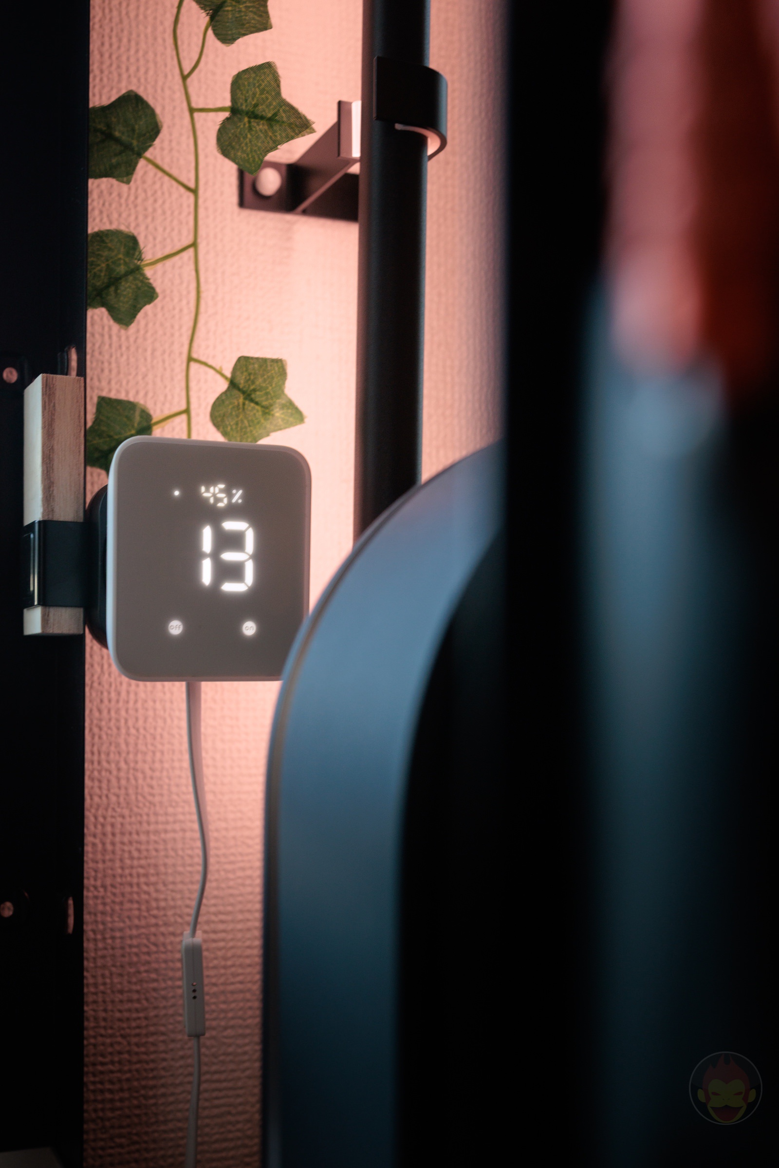 Photodump 20260131 05