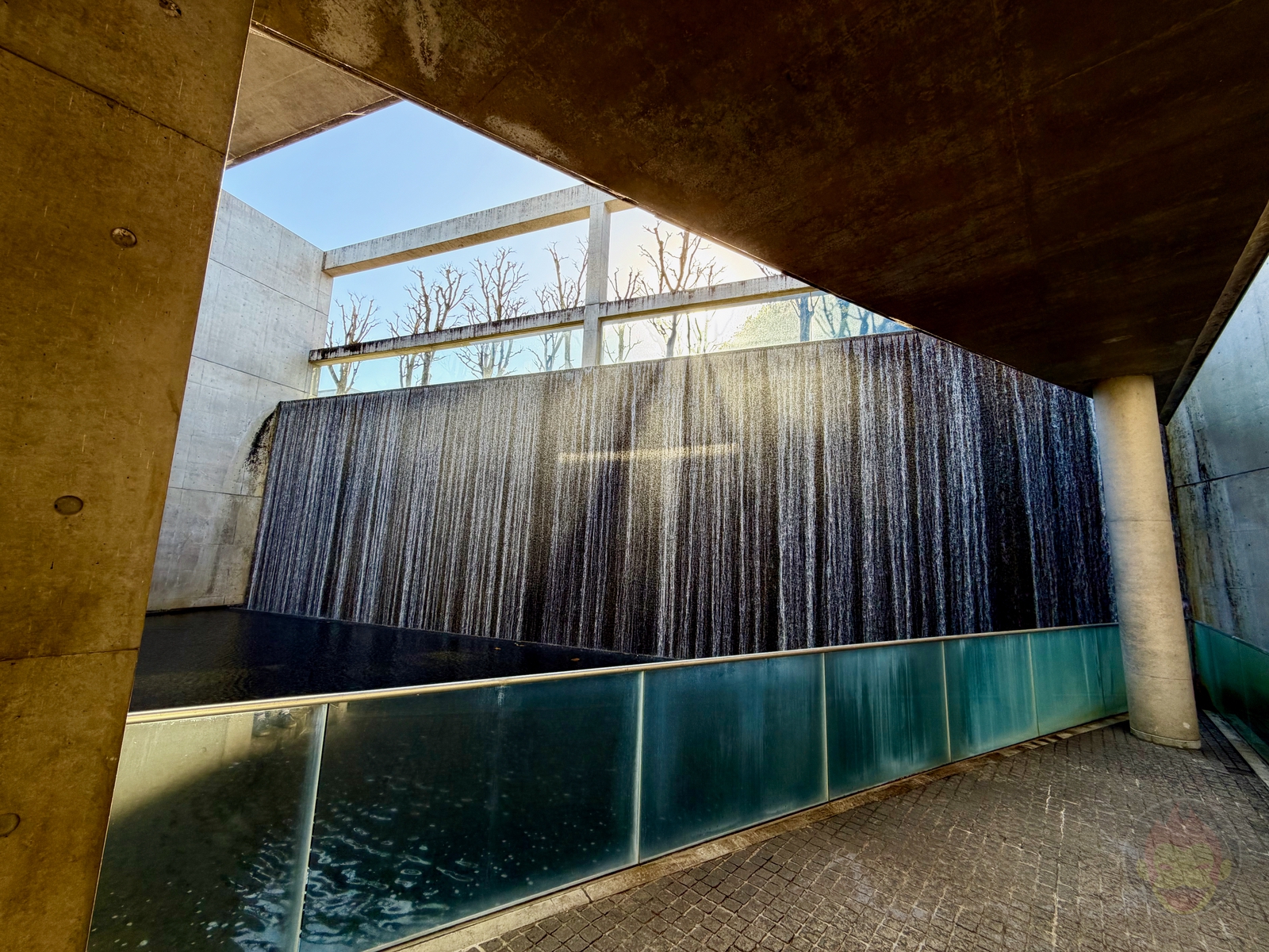 ShotoniPhone17Pro photo samples 11