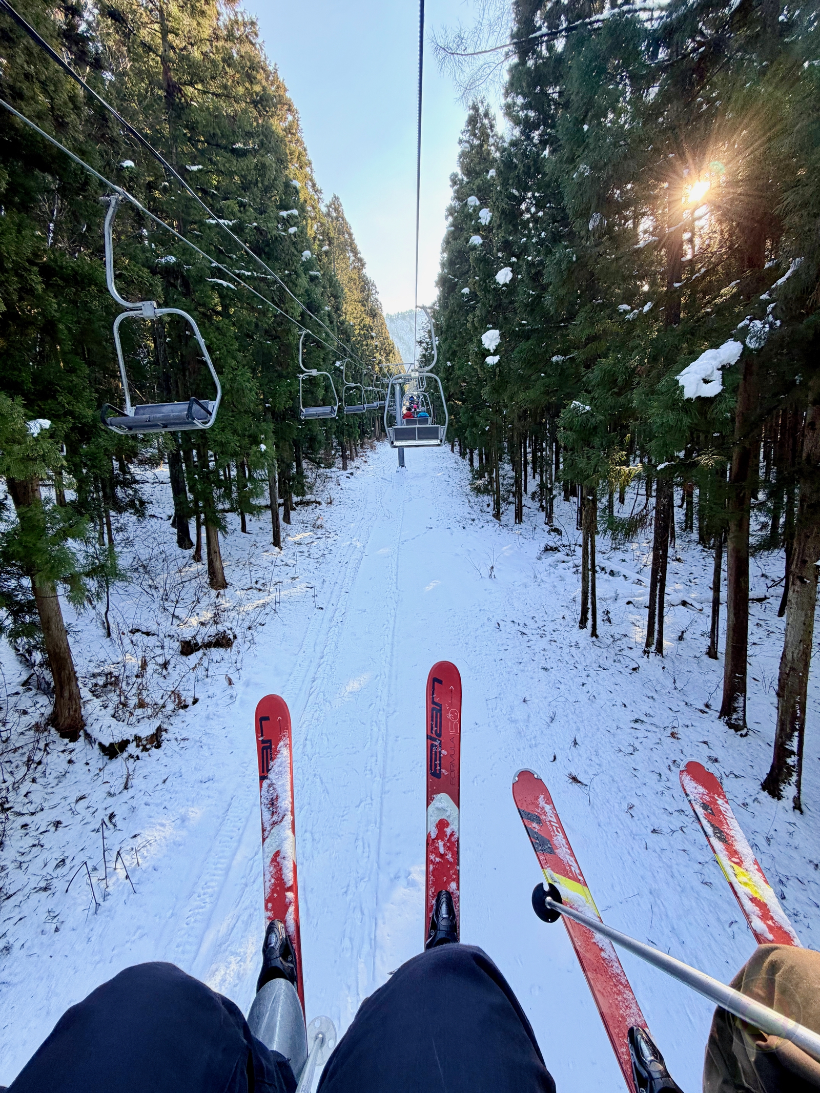 ShotoniPhone17Pro photo samples 12