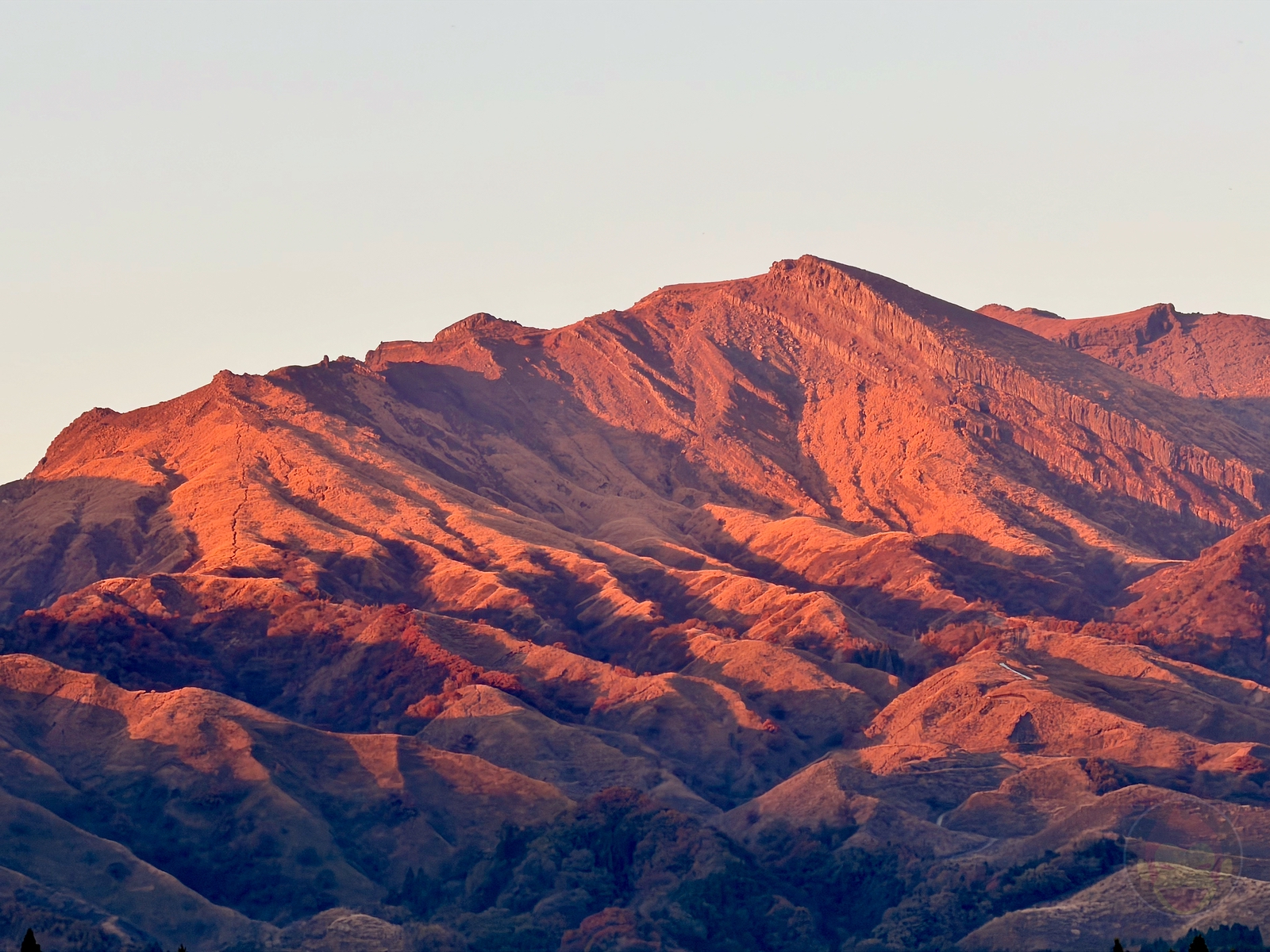 ShotoniPhone17Pro photo samples 18