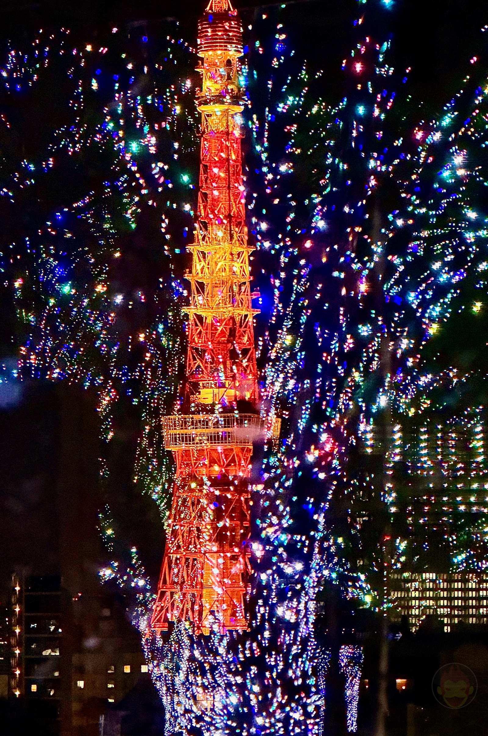 ShotoniPhone17Pro photo samples 19