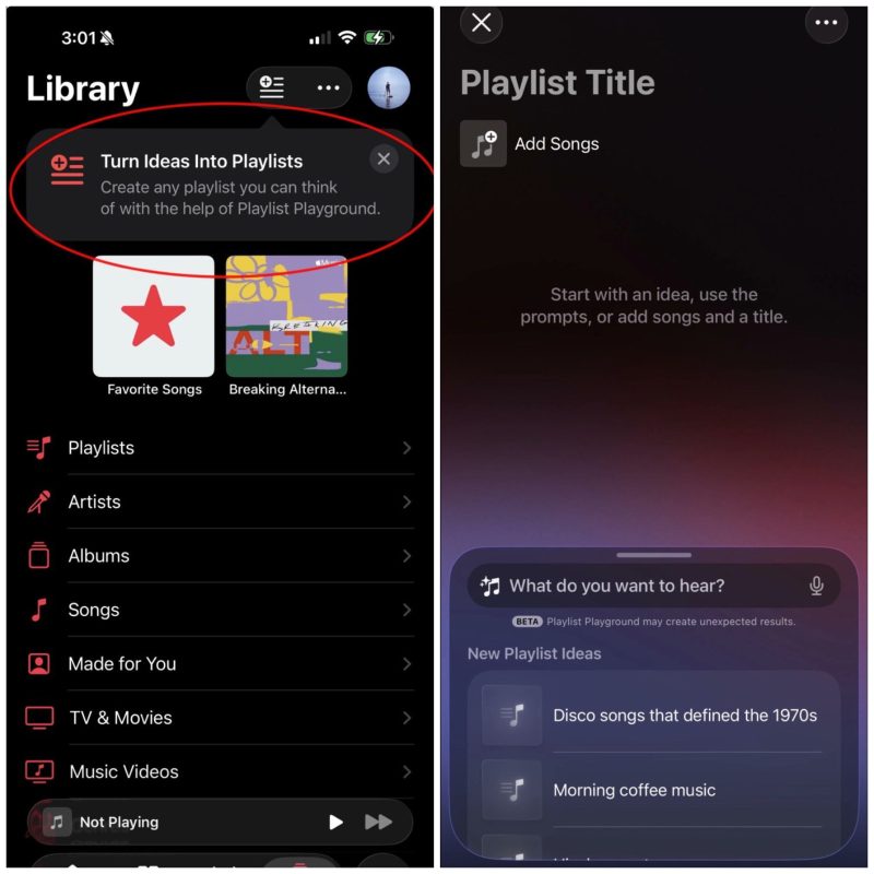 Apple Music Playlist Playground