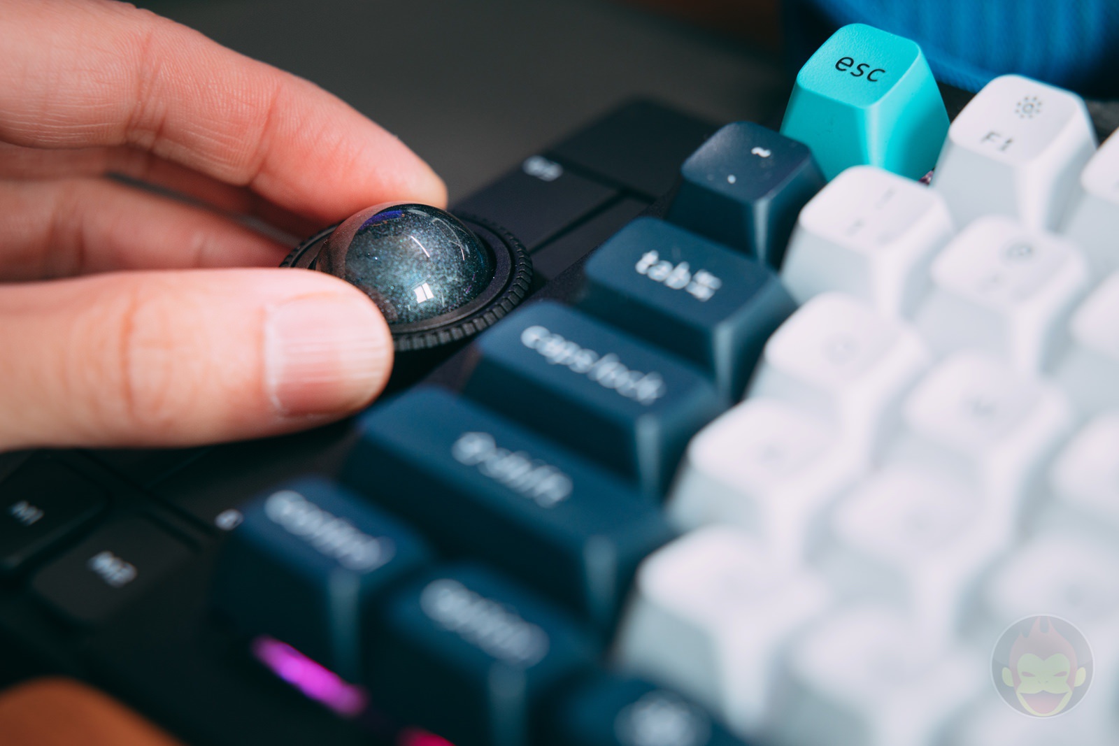 Nape-Pro-by-Gizmodo-and-Keychron-Hands-On-Review-03.jpg Nape Pro by Gizmodo and Keychron Hands On Review 03