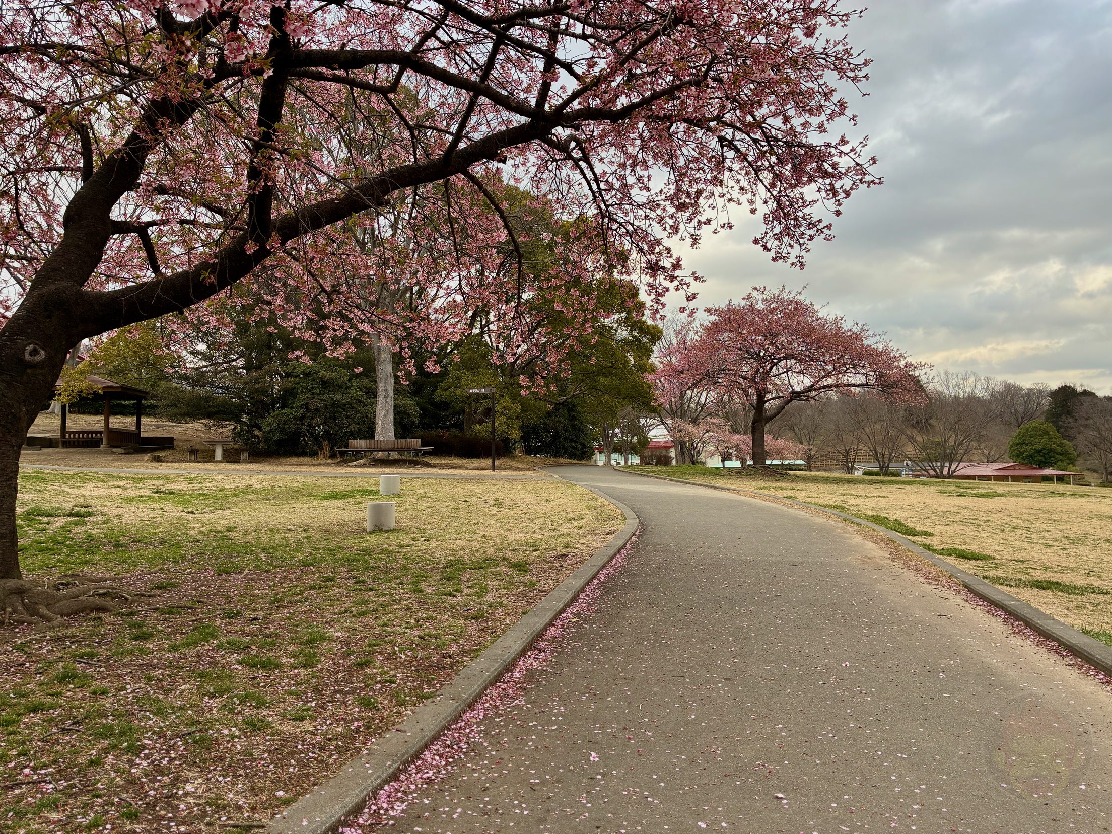 IPhone 17e Photo Review Samples 03