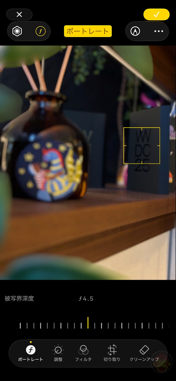 次世代ポートレートの写真